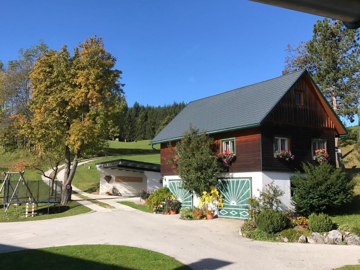 Ferienhaus Zwickelreith Göstling an der Ybbs Exterior foto